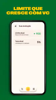 Zippi Crédito do autônomo screenshot 3