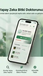 AI Plant Doctor: Bitki Bakımı screenshot 7