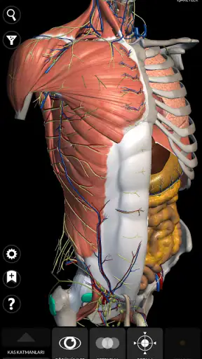 Anatomi 3D Atlası screenshot