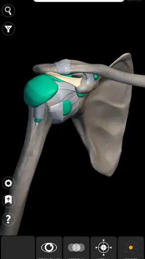 Anatomi 3D Atlası screenshot