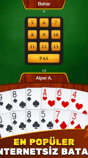 Batak HD - İnternetsiz Batak screenshot