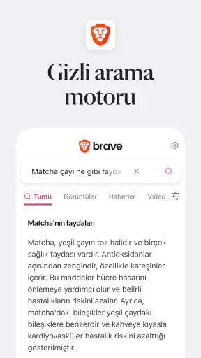 Brave Hızlı Web Tarayıcı, VPN screenshot