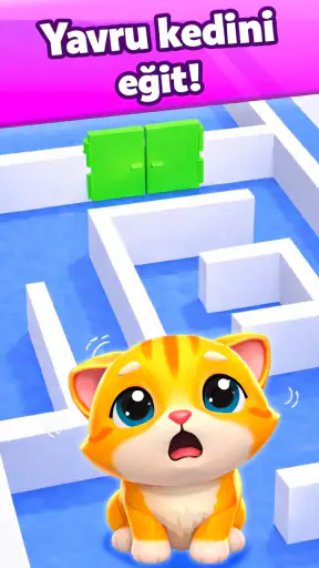 Cat Escape: Yavru Kedi Oyunu screenshot