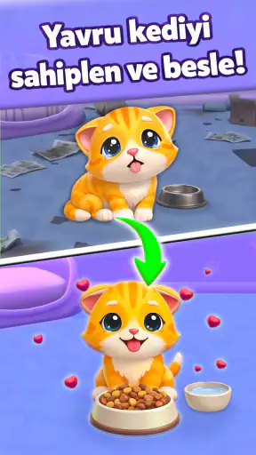 Cat Escape: Yavru Kedi Oyunu screenshot