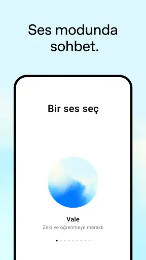 ChatGPT screenshot