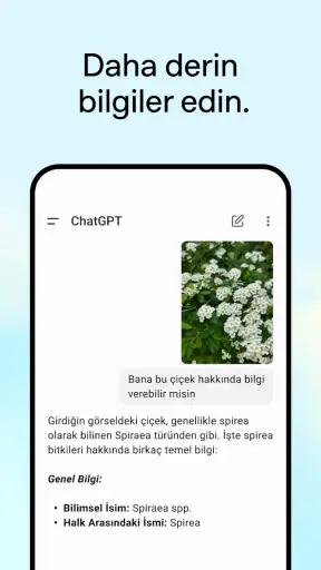 ChatGPT screenshot