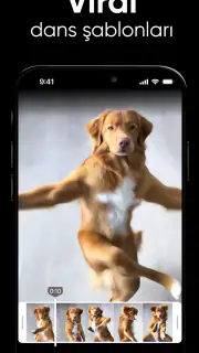Dance AI: AI Dans Videoları screenshot 4