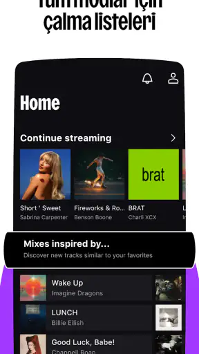 Deezer: müzik indirme programı screenshot