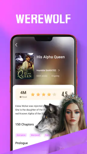 FancyNovel - Shorts & Novels screenshot