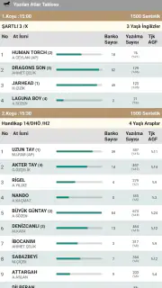 Ganyan Canavarı - At Yarışları screenshot 6