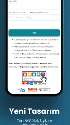 GİB screenshot