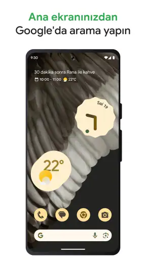 Google screenshot