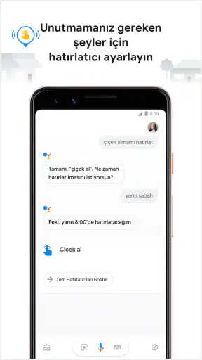 Google Asistan screenshot