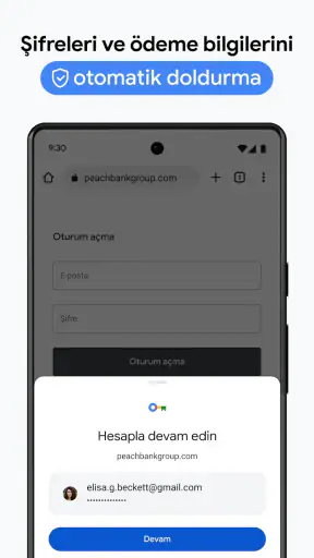 Google Chrome screenshot