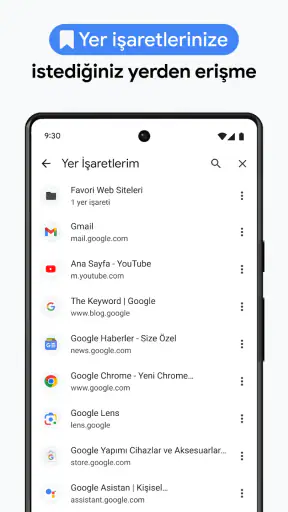 Google Chrome screenshot