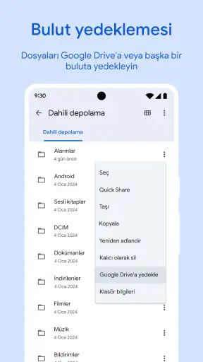 Google Files screenshot