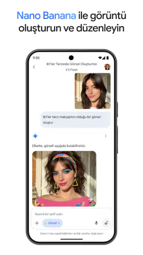 Google Gemini screenshot