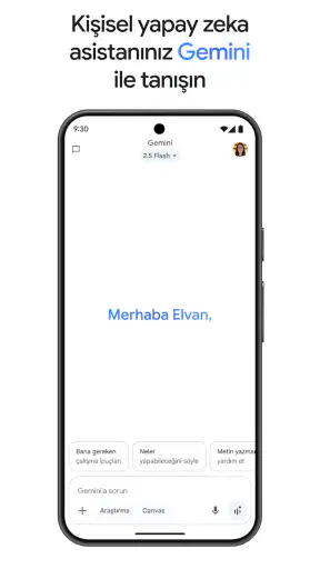 Google Gemini screenshot
