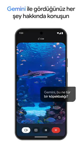 Google Gemini screenshot