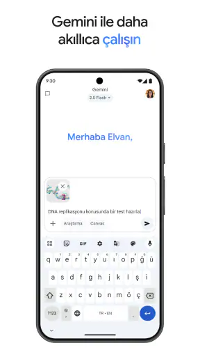 Google Gemini screenshot