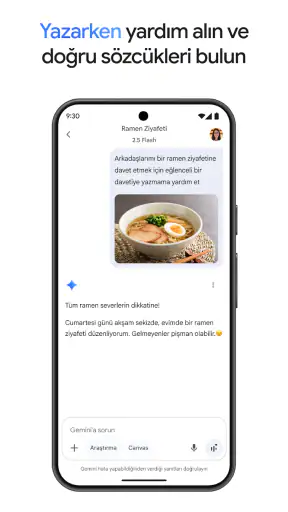 Google Gemini screenshot
