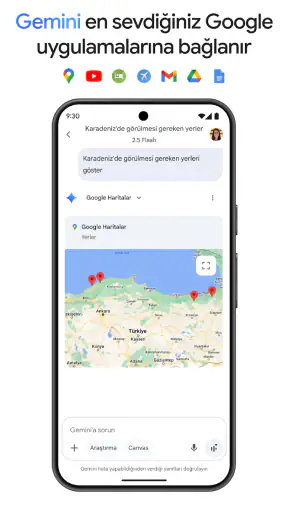Google Gemini screenshot
