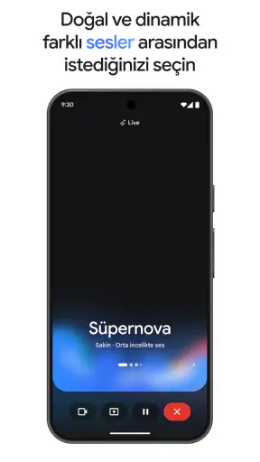 Google Gemini screenshot