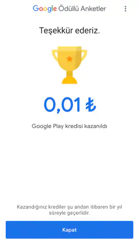 Google Ödüllü Anketler screenshot