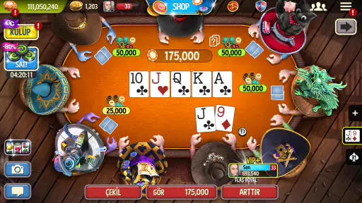 Governor of Poker 3 - Texas screenshot
