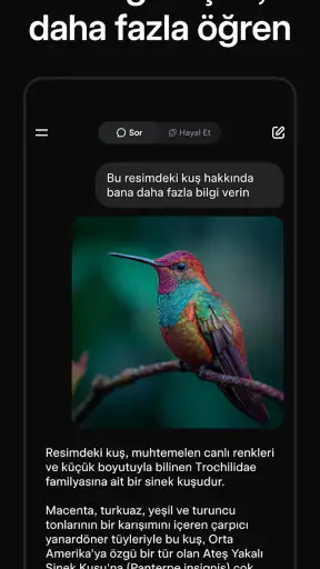 Grok - Yapay Zeka Asistanı screenshot