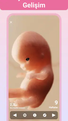 Hamilelik + | takip uygulaması screenshot