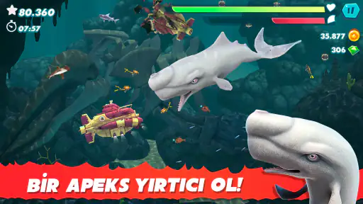 Hungry Shark Evolution screenshot