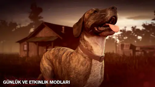 Into the Dead 2 screenshot 5