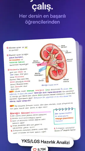 Knowunity - Okul Ders Yardımı screenshot