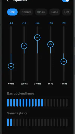 Lark Player: Müzik Çalar MP3 screenshot