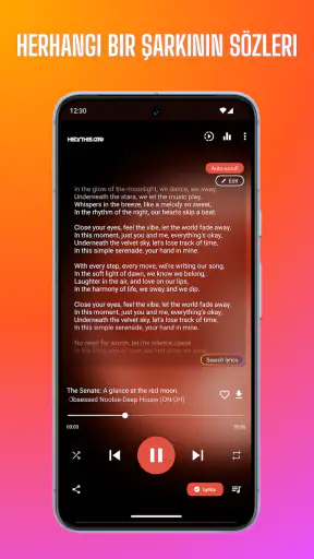 MP3 İndirici - Müzik Çalar screenshot