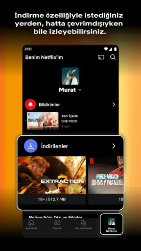 Netflix screenshot