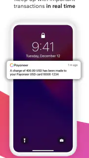 Payoneer screenshot 2
