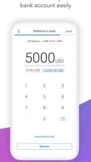 Payoneer screenshot 4
