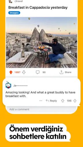 Reddit screenshot