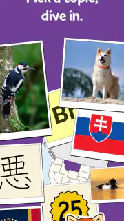 Squiz - Learn with Quizzes screenshot 1