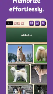 Squiz - Learn with Quizzes screenshot 2