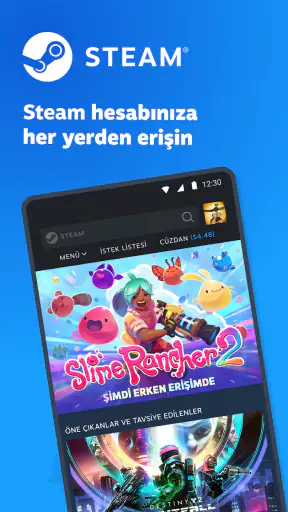 Steam screenshot