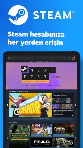 Steam screenshot