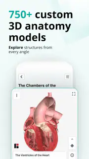 Teach Me Anatomy screenshot 3