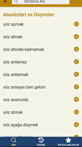 Türkçe Sözlük screenshot