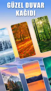 Word Scenery: Kelime Oyunu screenshot 5